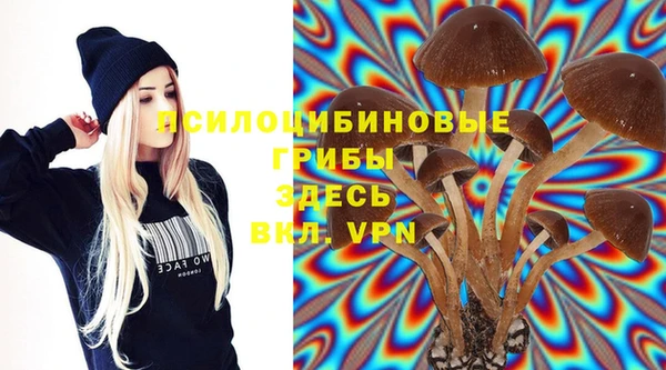 MESCALINE Алзамай