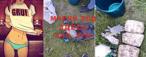 ГАЛЛЮЦИНОГЕННЫЕ ГРИБЫ Алексин
