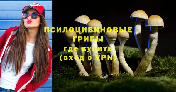 spice Алексеевка