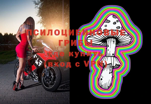 ГАЛЛЮЦИНОГЕННЫЕ ГРИБЫ Алексин