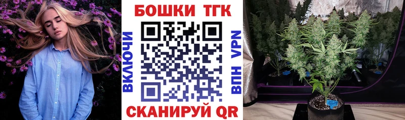 Канабис сатива  Шахты 